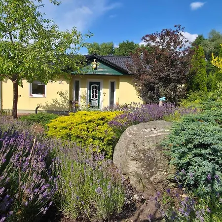 Lavendelhaus Am Mueritzsee - Direkt Am Wasser Buchholz (Mecklenburg-Vorpommern)